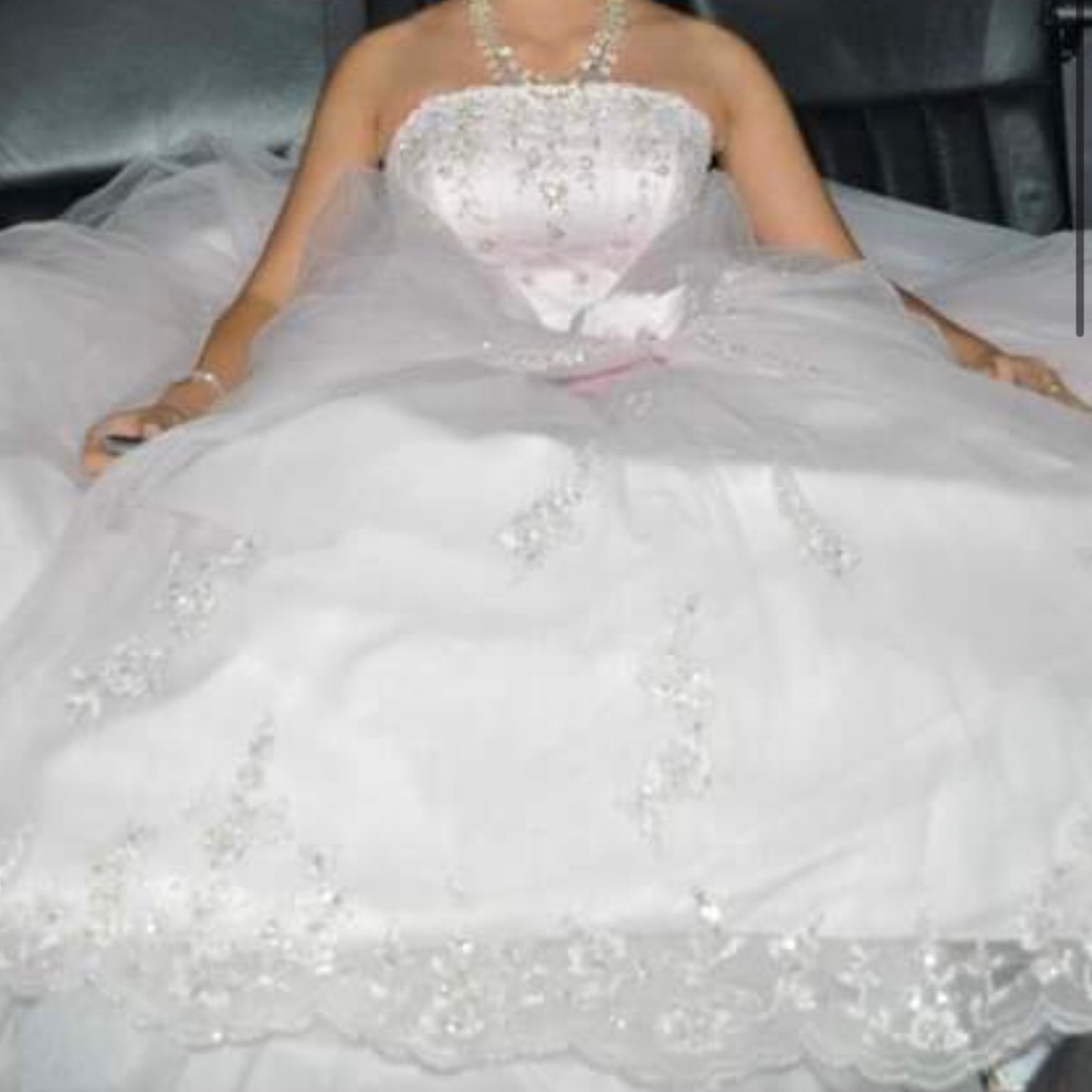 Excellent Condition Sweet 16 / Quinceañera Dress - Picture 2 of 3